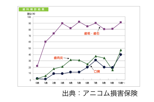 歯周病　犬