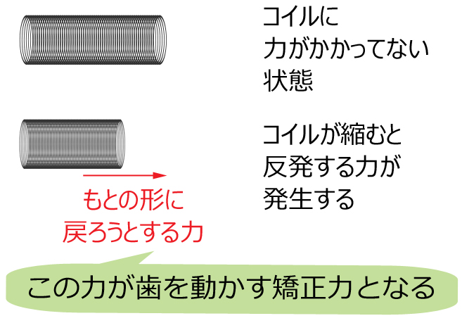 コイルの矯正力