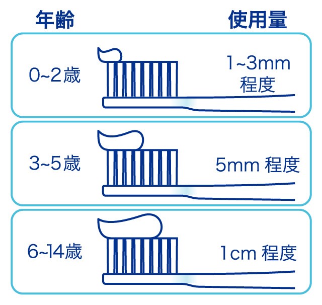 フッ素配合歯磨き粉の使用量のイラスト