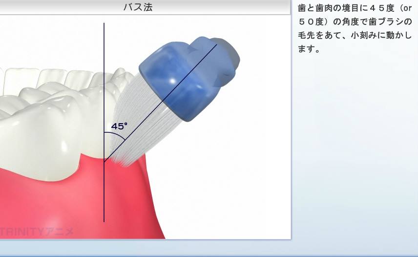 バス法