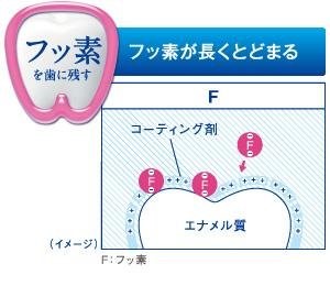 フッ素の効果