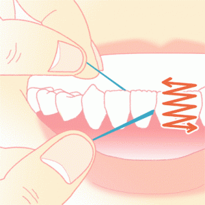 デンタルフロスの使い方