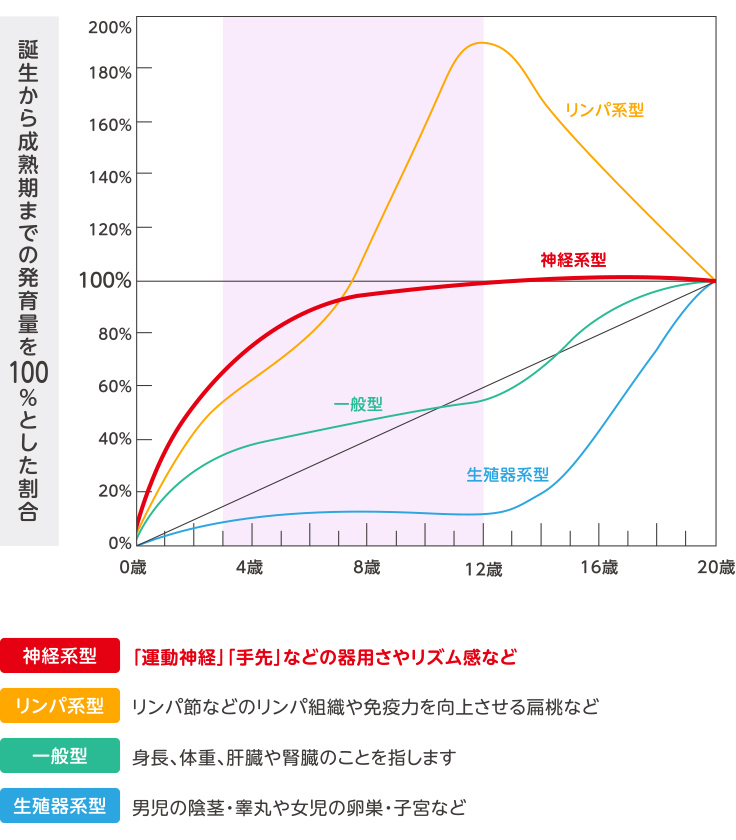 スキャモンの発育曲線