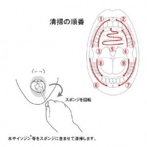 スポンジの使用方法