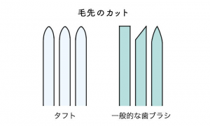 タフトの毛先