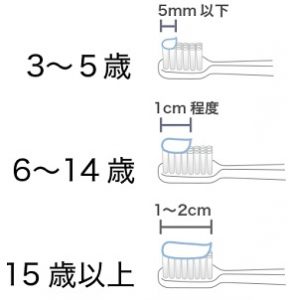 歯磨き粉　使用量