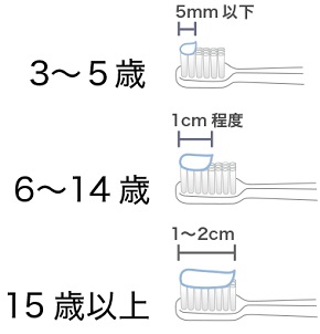 歯磨き粉　使用量