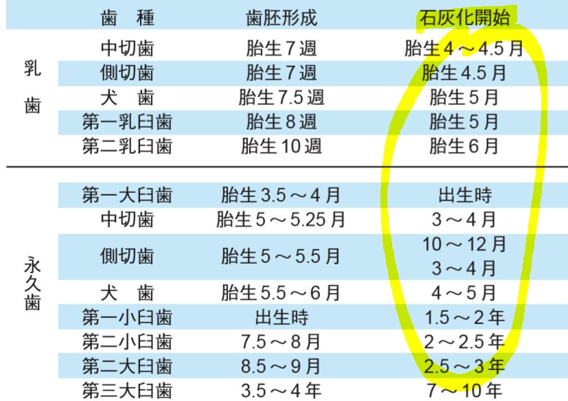 歯の石灰化