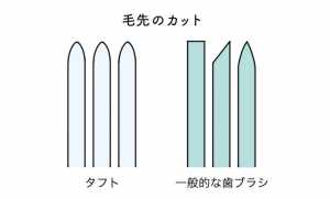 マミー１７　タフト