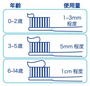 歯磨き粉　適正量